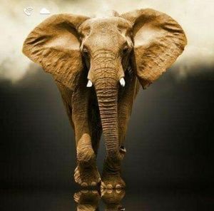 Meet your Posher, Lora